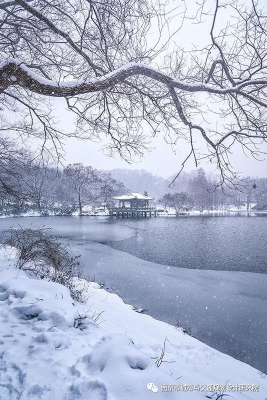 1581304324466464.jpg 15.jpg